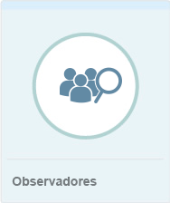 Perfil Observador