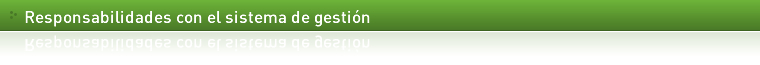 Responsabilidades con el Sistema de Gestión 